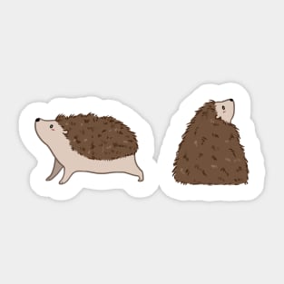 Hedgehogs Sticker